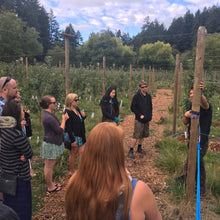 Winery Tour