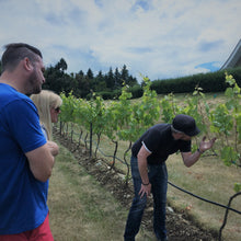 Winery Tour