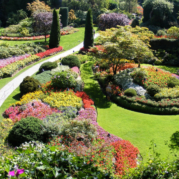 Butchart Gardens