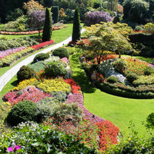 Butchart Gardens