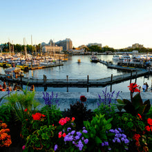 Victoria Harbour